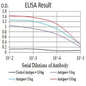 CD1B
