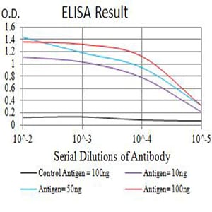CD40