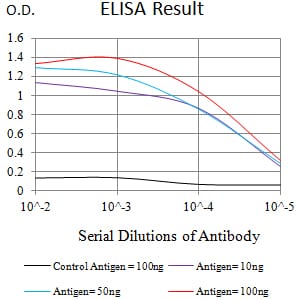 CD339