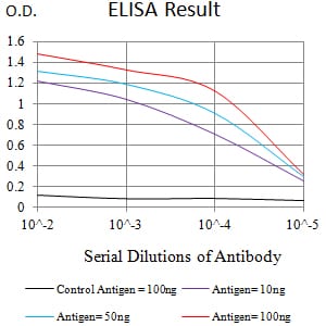 CD336