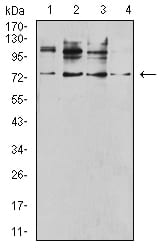 CD120B