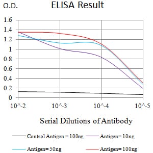 CD192