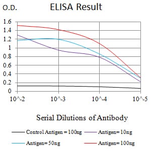 CD80