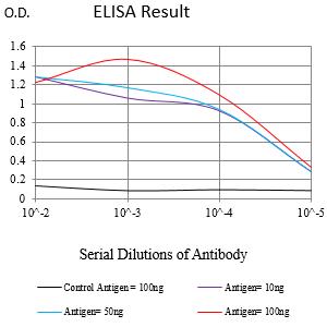 HLA-DPB1