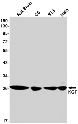 KGF