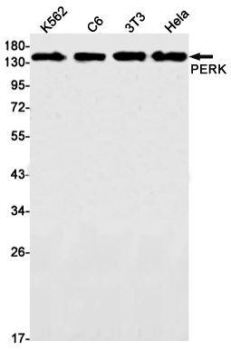 PERK