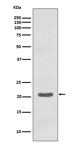 MTCO2