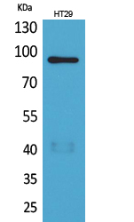 NRG2