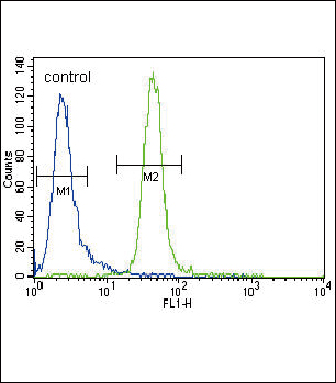 Rabbit Polyclonal Antibody to MUSK (N-term)