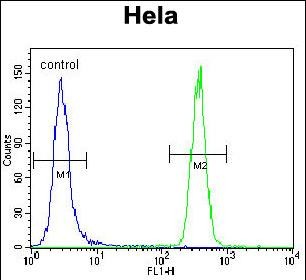 Rabbit Polyclonal Antibody to HSPA5