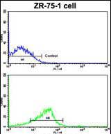 Rabbit Polyclonal Antibody to NCS1