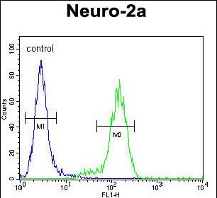 Rabbit Polyclonal Antibody to VWA3B