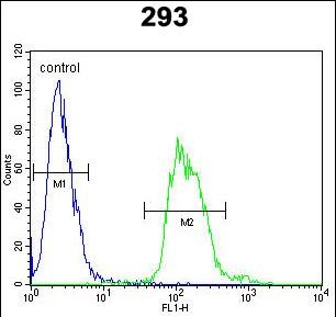 Rabbit Polyclonal Antibody to TAC1