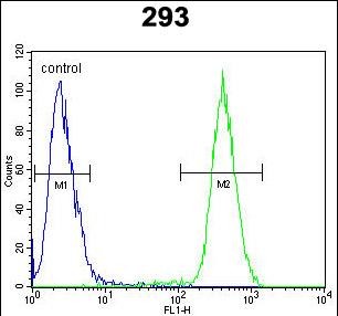 Rabbit Polyclonal Antibody to CAMLG