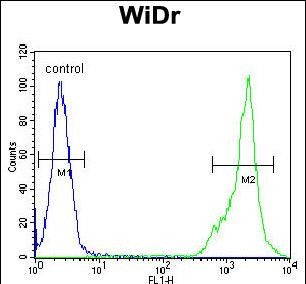 Rabbit Polyclonal Antibody to C4BPA