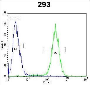Rabbit Polyclonal Antibody to ENSA
