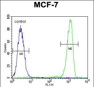 Rabbit Polyclonal Antibody to RABGAP1 (N-term)