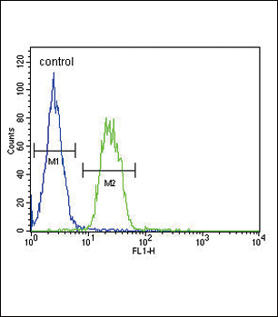 Rabbit Polyclonal Antibody to S6A12 (N-term)