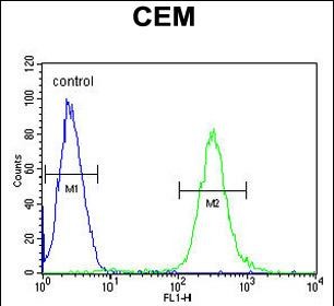 Rabbit Polyclonal Antibody to MCAF2
