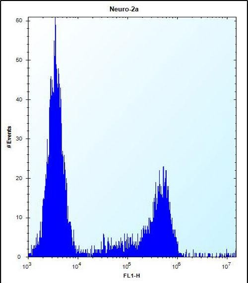 Rabbit Polyclonal Antibody to CASC4  (C-term)