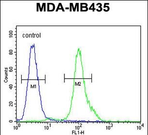 Rabbit Polyclonal Antibody to MYCT1  (C-term)