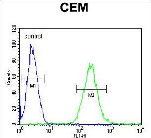 Rabbit Polyclonal Antibody to ZNF667