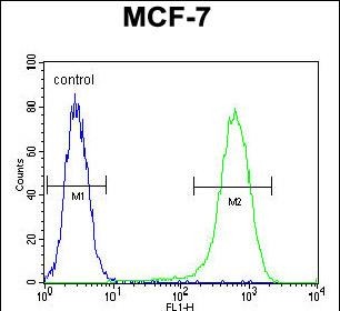 Rabbit Polyclonal Antibody to NUDT8 (N-term)