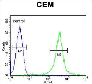 Rabbit Polyclonal Antibody to AMY2B (N-term)