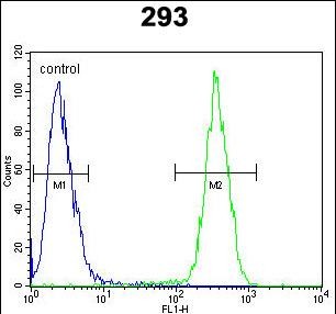 Rabbit Polyclonal Antibody to CLPX