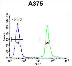 Rabbit Polyclonal Antibody to AL2SA  (N-term)