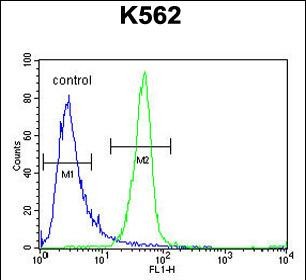 Rabbit Polyclonal Antibody to ANR52  (N-term)