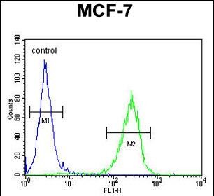 Rabbit Polyclonal Antibody to CO027  (C-term)