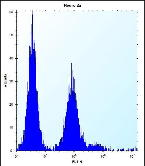 Rabbit Polyclonal Antibody to OR9Q1