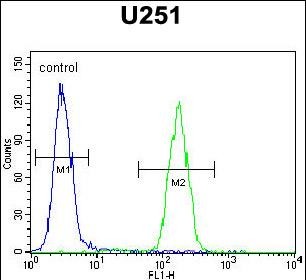 AMN1 (N-term)