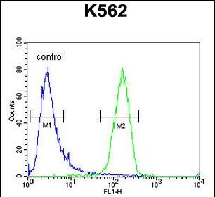 Rabbit Polyclonal Antibody to IQCJ
