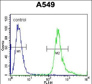 Rabbit Polyclonal Antibody to LRRC6