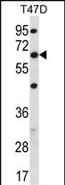 FA83D