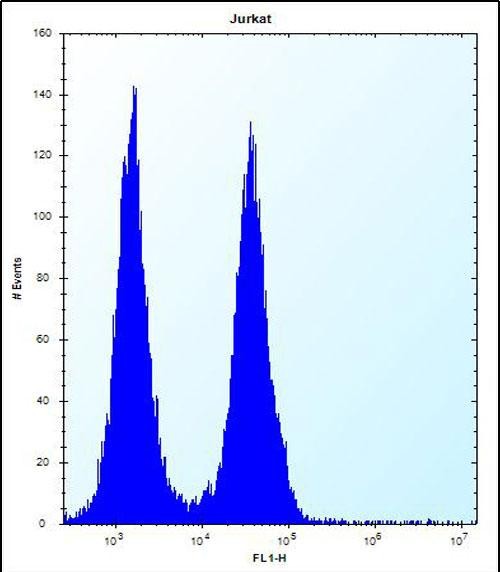 Rabbit Polyclonal Antibody to FA8A1 (N-term)