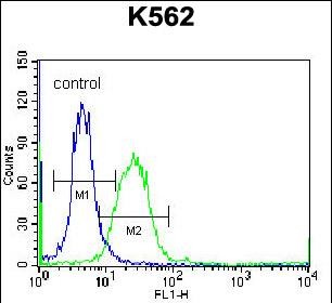 Rabbit Polyclonal Antibody to DOC2A