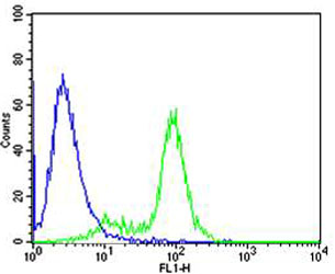 Mouse Monoclonal Antibody to GATA3