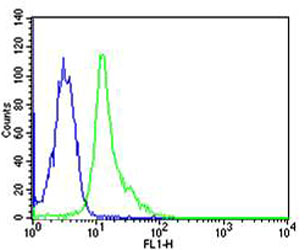 Mouse Monoclonal Antibody to FYN