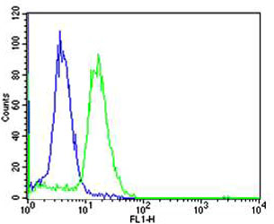Rabbit Polyclonal Antibody to TCL1A