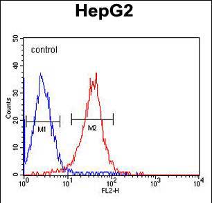 Mouse Monoclonal Antibody to ALDH2