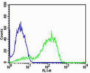 Rabbit Polyclonal Antibody to AGAP8