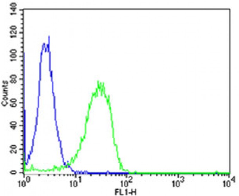 Rabbit Polyclonal Antibody to MTTP
