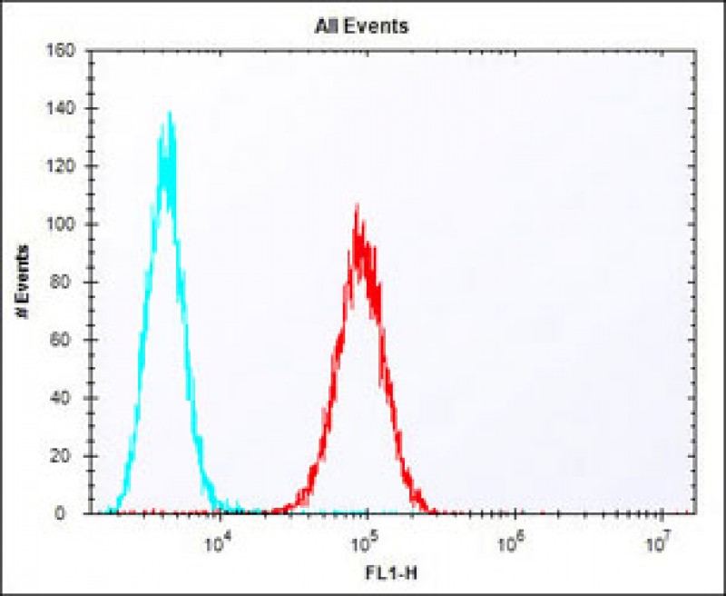 Rabbit Polyclonal Antibody to (Mouse) Eras (N-term)