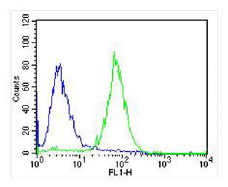Mouse Monoclonal Antibody to NTRK2
