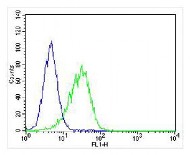 Rabbit Polyclonal Antibody to PSMB9