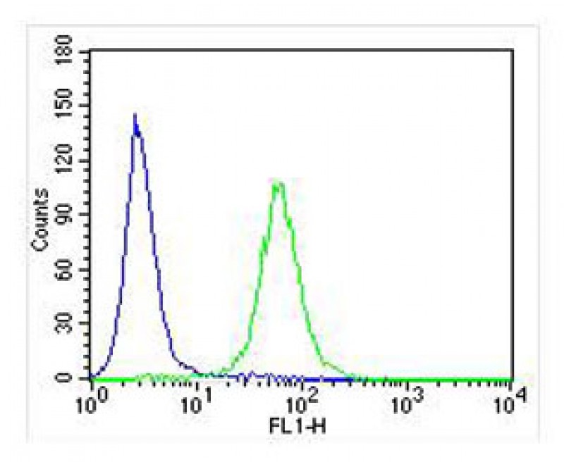 Rabbit Polyclonal Antibody to IL24