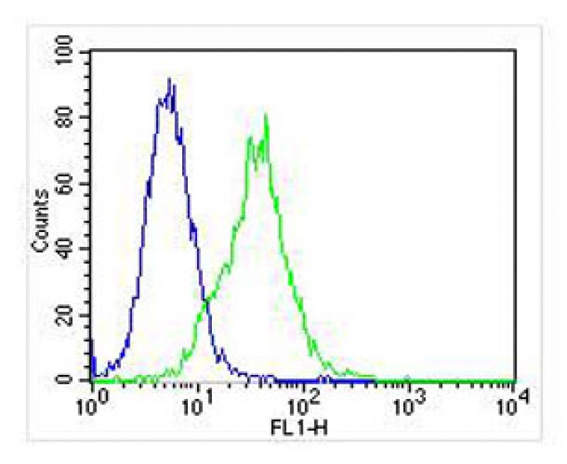 Mouse Monoclonal Antibody to HINT1